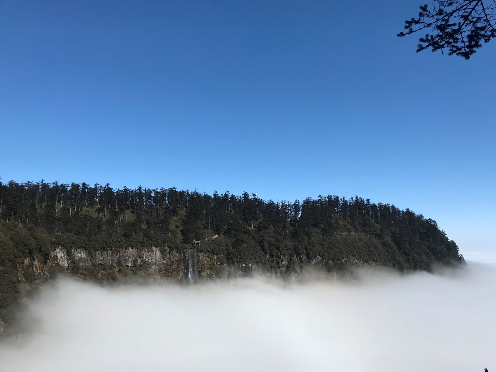 1583409383384196.jpg 1583409383384196.jpg